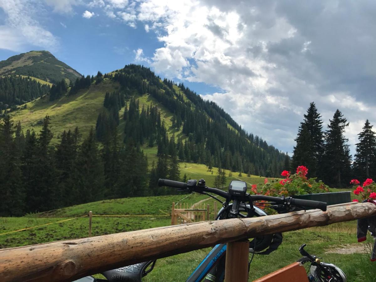 גראינאו Bayern Resort Hotel - Adults Only - Mit Zugspitzblick - Eibsee-Naehe - Wellnessbereich - Naturpool Im Sommer מראה חיצוני תמונה